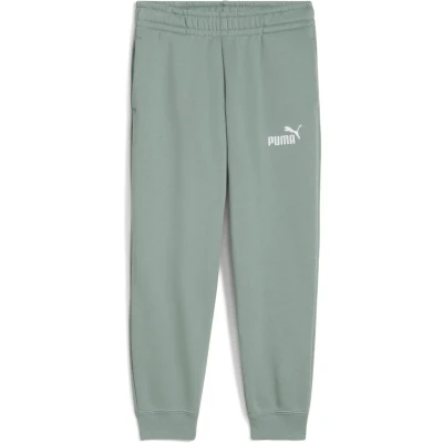 Abbildung von PUMA Jungen ESS No. 1 Logo Sweatpants FL PS Gestrickte Hosen, Green Moon, 110