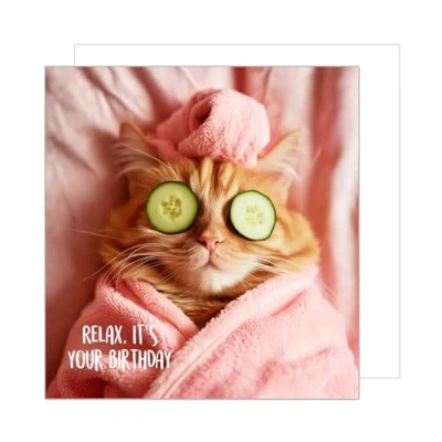 Abbildung von Edition Seidel Premium quadratische Geburtstagskarte mit Umschlag. Glückwunschkarte Happy Birthday Billet Tier Karte Mann Frau Coole Katze Humor Lustig Relax (GQ150 SW024)