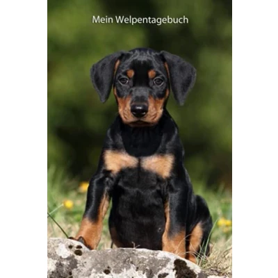 Abbildung von Mein Welpentagebuch: die ersten Monate mit meinem Deutschen Pinscher (Deutscher alle Bücher: Trainingstagebuch, Krankenakte, BARF Planer und Welpentagebuch, Band 5)