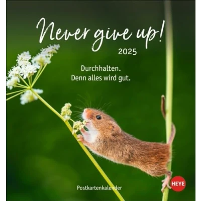 Abbildung von Never give up! Postkartenkalender 2025: Süße Tiere in einem Postkarten Fotokalender mit motivierenden Botschaften. Kleiner Kalender zum Aufstellen und Aufhängen. (Postkartenkalender Heye)