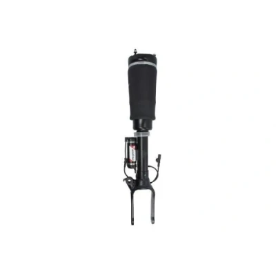 Abbildung von Magnum Technology APM008MT Luftfederbein vorne