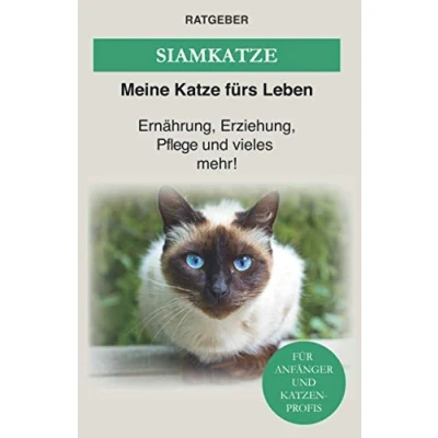 Abbildung von Siam Katze: Siamkatze Ernährung, Erziehung, Pflege und vieles mehr!
