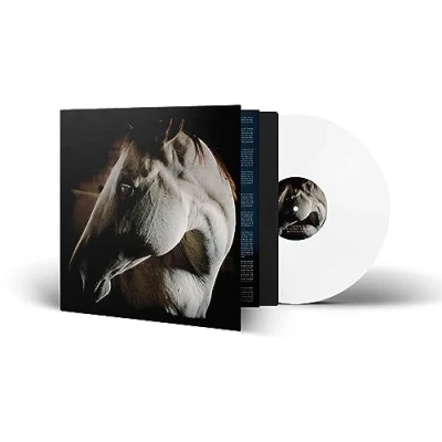 Abbildung von How to Kill a Horse (White Vinyl) [Vinyl LP]