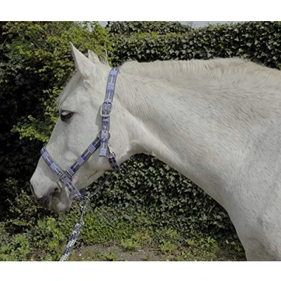 Abbildung von Rhinegold Carnival Headcollar &amp; Rope Karnevals Halfter und Seil, blau kariert, Cob