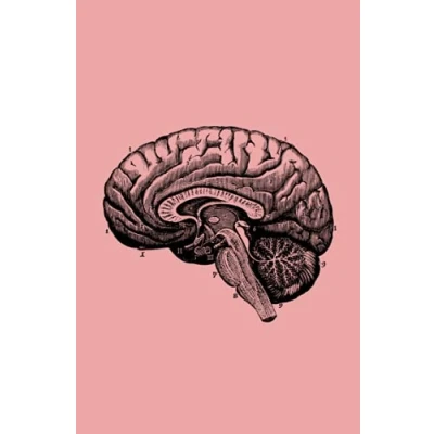 Abbildung von Human Brain Notizbuch Menschliches Gehirn: Vintage Notebook Anatomie (Vintage Anatomy)