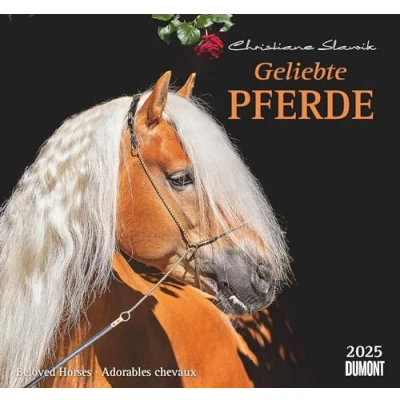 Abbildung von Geliebte Pferde 2025 DUMONT Wandkalender Pferdefotografie von Christiane Slawik Format 38,0 x 35,5 cm
