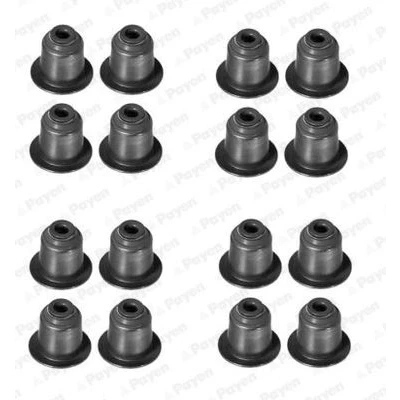 Abbildung von PAYEN HR5045 Dichtungssatz, Ventilschaft BMW: 3 Touring, Saloon, 5 Saloon