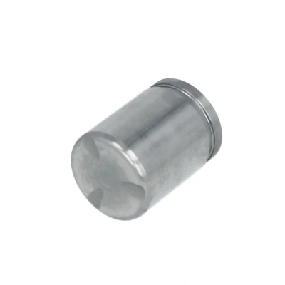 Abbildung von AUTOFREN SEINSA D025235 Kolben, Bremssattel 38