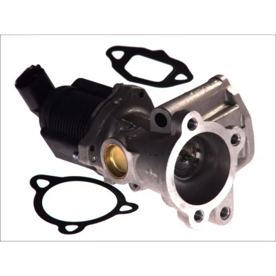 Abbildung von PIERBURG 7.00020.39.0 AGR Ventil elektrisch Magnetventil mit Dichtung FIAT: Panda II Hatchback, 500 Idea