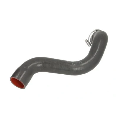 Abbildung von THERMOTEC DCR201TTS Ladeluftschlauch RENAULT: SCENIC 2, MEGANE 2 Kombi