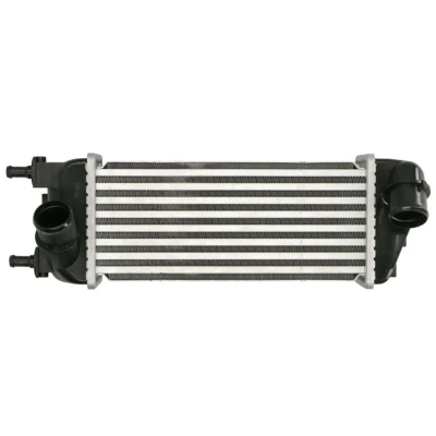 Abbildung von THERMOTEC DAF015TT Ladeluftkühler FIAT: Panda III Hatchback