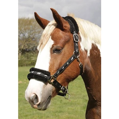 Abbildung von Rhinegold Unisex Erwachsene Logo Headcollar Fleece Trim Full Black Halfter, Schwarz, Volle Größe