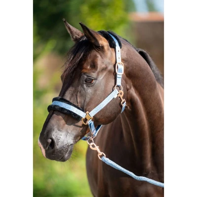 Abbildung von HB Halfter Showtime Pioneer Eisblau Warmblut Agradi.deVerkauft von Agradi