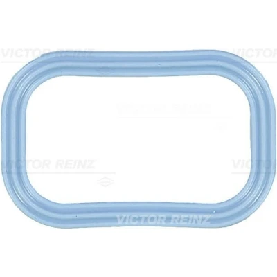 Abbildung von REINZ 71 35539 00 Ansaugkrümmerdichtung FORD: Ranger Mk3, Transit Mk6 Van, Custom V362 Minibus, FIAT: Ducato III CITROËN: Relay II Van