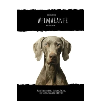 Abbildung von Weimaraner: alles über Auswahl, Haltung, Pflege, Beschäftigungsmöglichkeiten