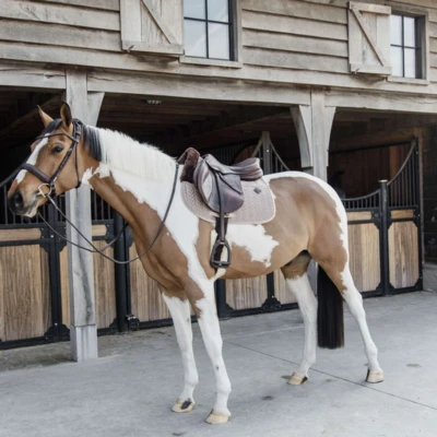 Abbildung von Kentucky Schabracke Skin Friendly Springen Beige Warmblut