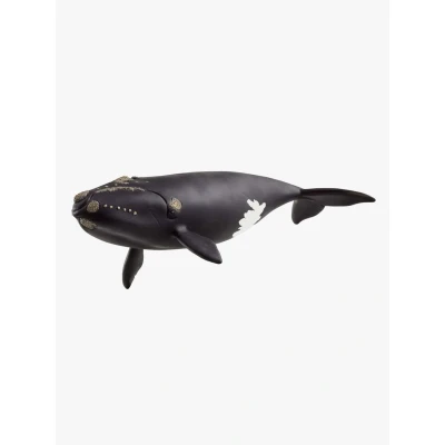Abbildung von Schleich® Spielfigur »WILD LIFE, Nordatlantischer Glattwal (14878)«