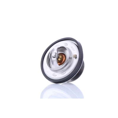 Abbildung von FEBI BILSTEIN 09675 Kühlwasserthermostat 75 mit Dichtring MERCEDES BENZ: S Class Saloon, SL Convertible, W111 Coupe