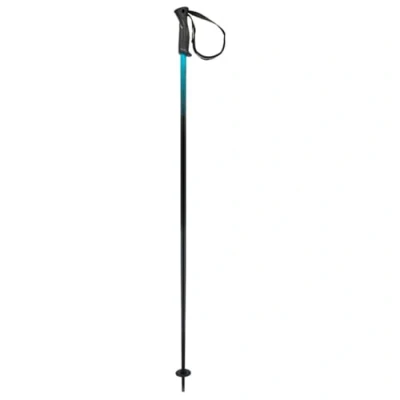 Abbildung von HEAD Unisex Adult Frontside Black Speed blu Skistöcke, 110