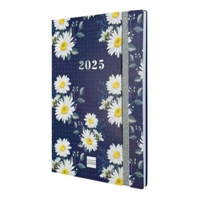 Abbildung von Finocam Terminkalender Dotted 16 Monate 2024 2025 Horizontale Wochenansicht September Dezember (16 Monate) Marga International