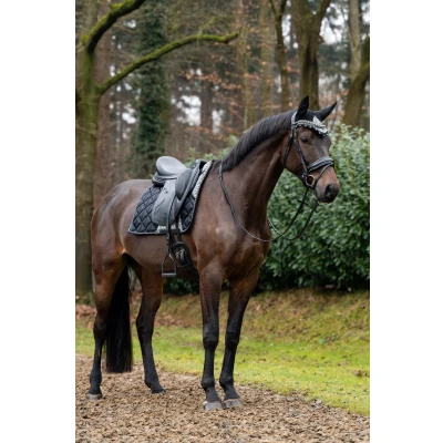 Abbildung von HB Showtime Saddle Pad Rio Collection