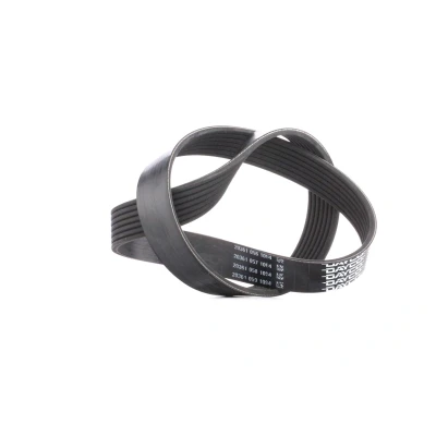 Abbildung von DAYCO 7PK880 Keilrippenriemen 880,0 7 RENAULT: Modus / Grand Modus, Clio 3, 4