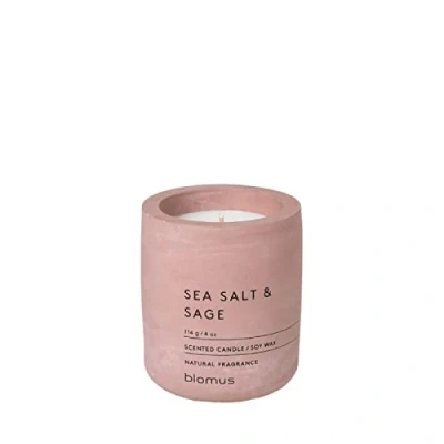 Abbildung von blomus FRAGA Duftkerze S aus Sojawachs, Withered Rose, hochwertiger Raumduft, charakteristische Beton Optik, Duft SEA SALT &amp; SAGE, 24 h Brenndauer (H / B T: 8 x 6,5 cm, 65651)