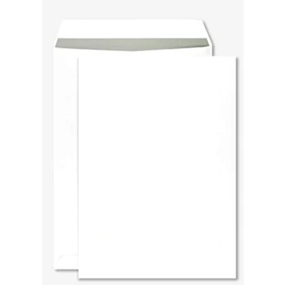 Abbildung von Netuno 250 Versandtaschen DIN B4 Weiß mit grauem Innendruck x 353 mm 100g Geschäftsumschläge gerade Klappe haftklebend ohne Fenster Brief Umschläge Großbrief Briefhüllen groß