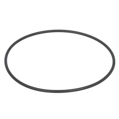 Abbildung von Gummi O Rings DT Spare Parts 5.41105