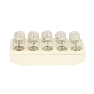 Abbildung von BOSCH 1 987 302 505 Glühlampe 24 10 R10W