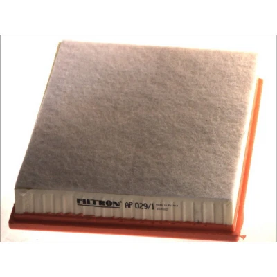 Abbildung von FILTRON AP 029/1 Luftfilter 57 256 324 Filtereinsatz BMW: X5, X6