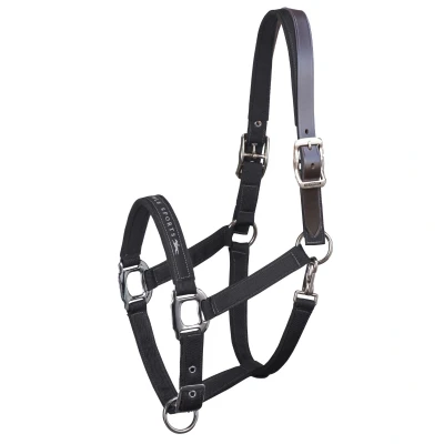 Abbildung von Schockemöhle Halfter Memphis Breakaway Nylon Schwarz Pony