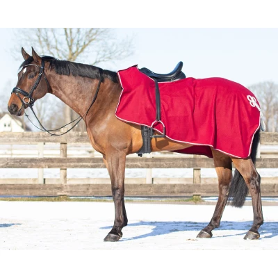 Abbildung von QHP Riding Rug Fleece Ornament