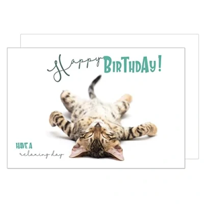 Abbildung von Edition Seidel Premium Geburtstagskarte mit Umschlag. Glückwunschkarte Billet Happy Birthday Grusskarte Mann Frau Tierkarte Katze Humor lustig (G3420 SW023)