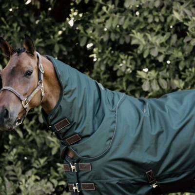 Abbildung von Kentucky Turnout All Weather 160g Dunkelgrün 145/198