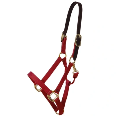 Abbildung von Kentucky Halfter Nylon Breakaway Bordeaux