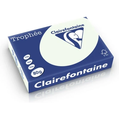 Abbildung von Clairefontaine 1974C Ries Druckerpapier / Kopierpapier Trophee, Pastell Farben, DIN A4, 80g, 500 Blatt, Blaßgrün, 1