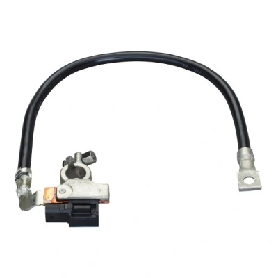 Abbildung von HELLA 6PK 010 562 941 Sensor, Batteriemanagement