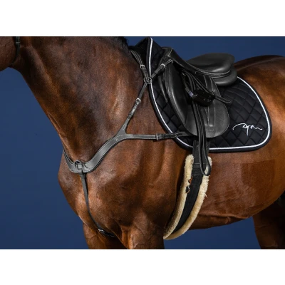 Abbildung von Dyon Anatomical Breastplate US Jumping Collection