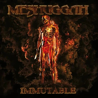 Abbildung von Immutable (Black Vinyl)