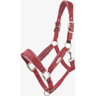 Abbildung von LeMieux Halfter Versailles Cranberry Vollblut Agradi.deVerkauft von Agradi