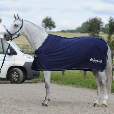 Abbildung von Bucas Price Cooler Navy/silber Logo 165
