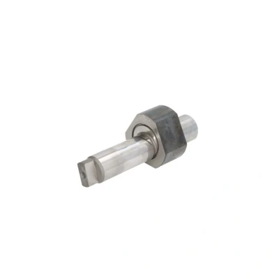 Abbildung von Exzenterwelle, Common Rail System Pumpe BOSCH F 00N 202 709