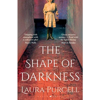 Abbildung von The Shape of Darkness: &#039;A future gothic classic&#039; Martyn Waites