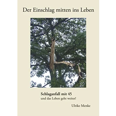 Abbildung von Der Einschlag mitten ins Leben: Schlaganfall mit 45 und das Leben geht weiter!
