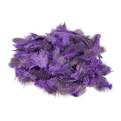 Abbildung von Netuno 150 Stück Deko Federn Violett 6g Perlhuhn Gepunktete Schmuckfedern Vogelfedern Bastelfedern Natur für DIY Basteln Dekoration Ostern Weihnachten Dekofigur