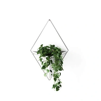 Abbildung von Umbra Trigg Wandvase &amp; Geometrische Deko Übertopf Für Zimmerpflanzen, Sukkulenten, Luftpflanzen, Kakteen, Kunstpflanzen und Mehr, Weiss/Nickel, Gross