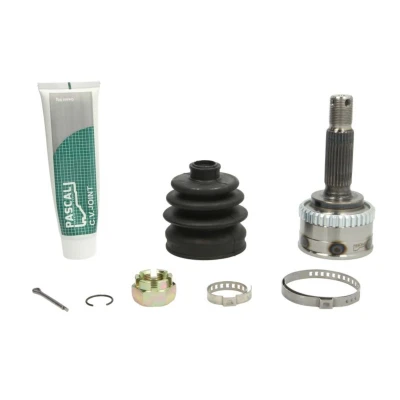 Abbildung von PASCAL G10512PC Gelenksatz radseitig