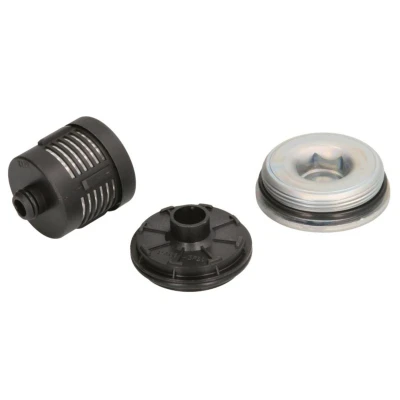 Abbildung von BorgWarner DS120456 Hydraulikfilter, Haldex Kupplung VOLKSWAGEN: Transporter 5 Bus, Multivan (7HM, Golf 5, AUDI: A3 Sportback, TT Coupe