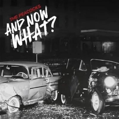 Abbildung von And Now What?(Digisleeve)